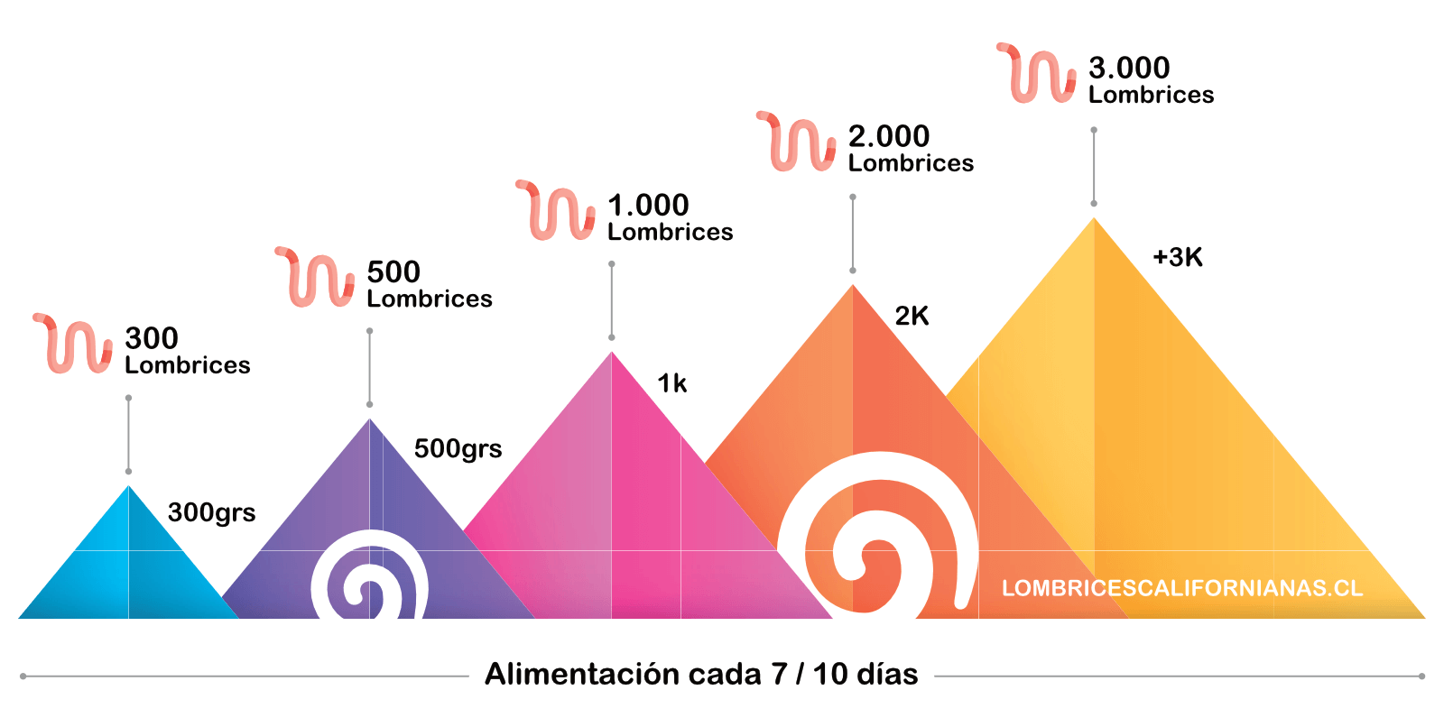 infografia alimentacion lombrices californianas