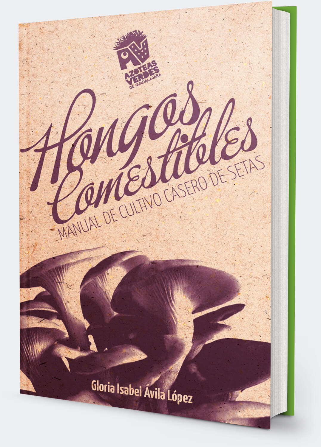 Descarga el libro