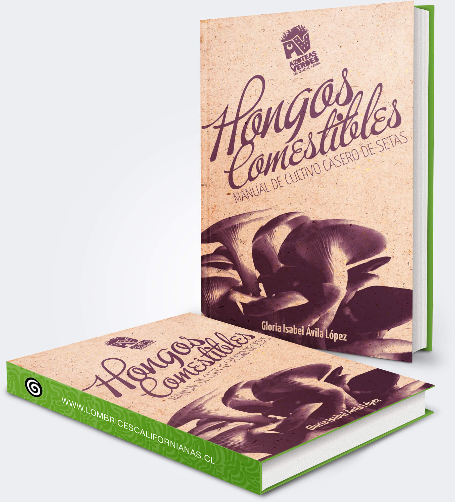 Descarga el libro